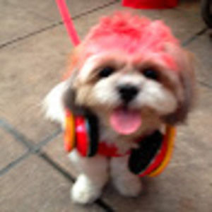 Meet your Posher, Eileen